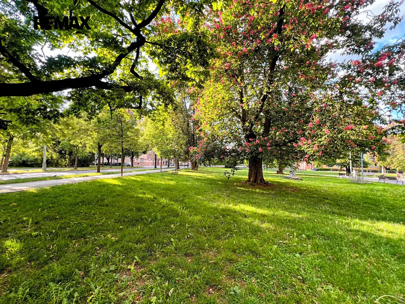 Prodej bytu 2+kk v osobním vlastnictví 72 m², Praha 6 - Bubeneč